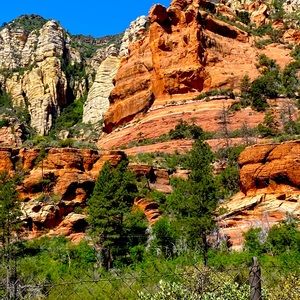 Meet your Posher, Brenda